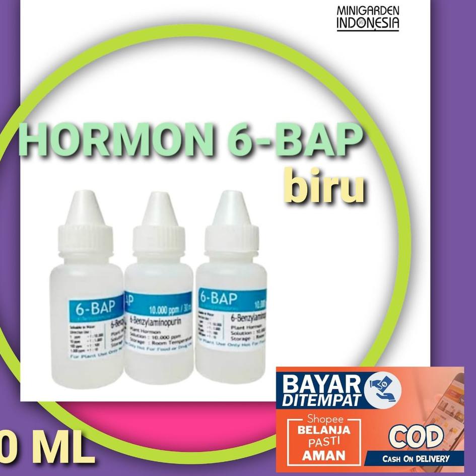 Murah Meriah HORMON BAP BIRU 6-BAP BENZYL AMINO PURIN 30 ml hormon penumbuh tunas anggrek perangsang