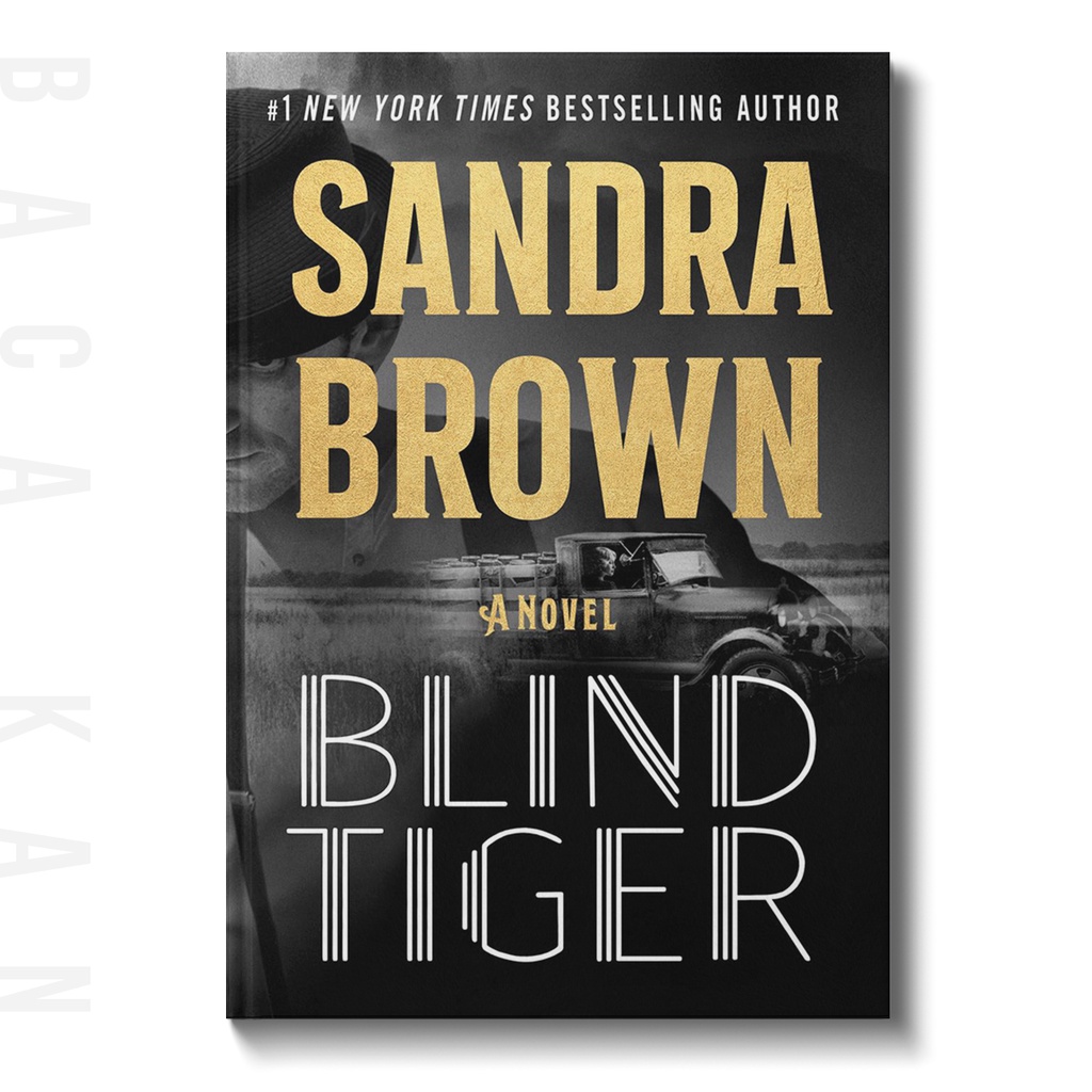 

Blind Tiger - Sandra Brown