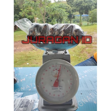 

Jengkol Murah Kualitas Super