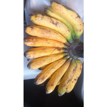 

PISANG BARANGAN MEDAN / PISANG SEGAR / BERKUALITAS / FRESH
