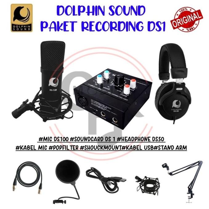 dolphin sound paket recording ds1