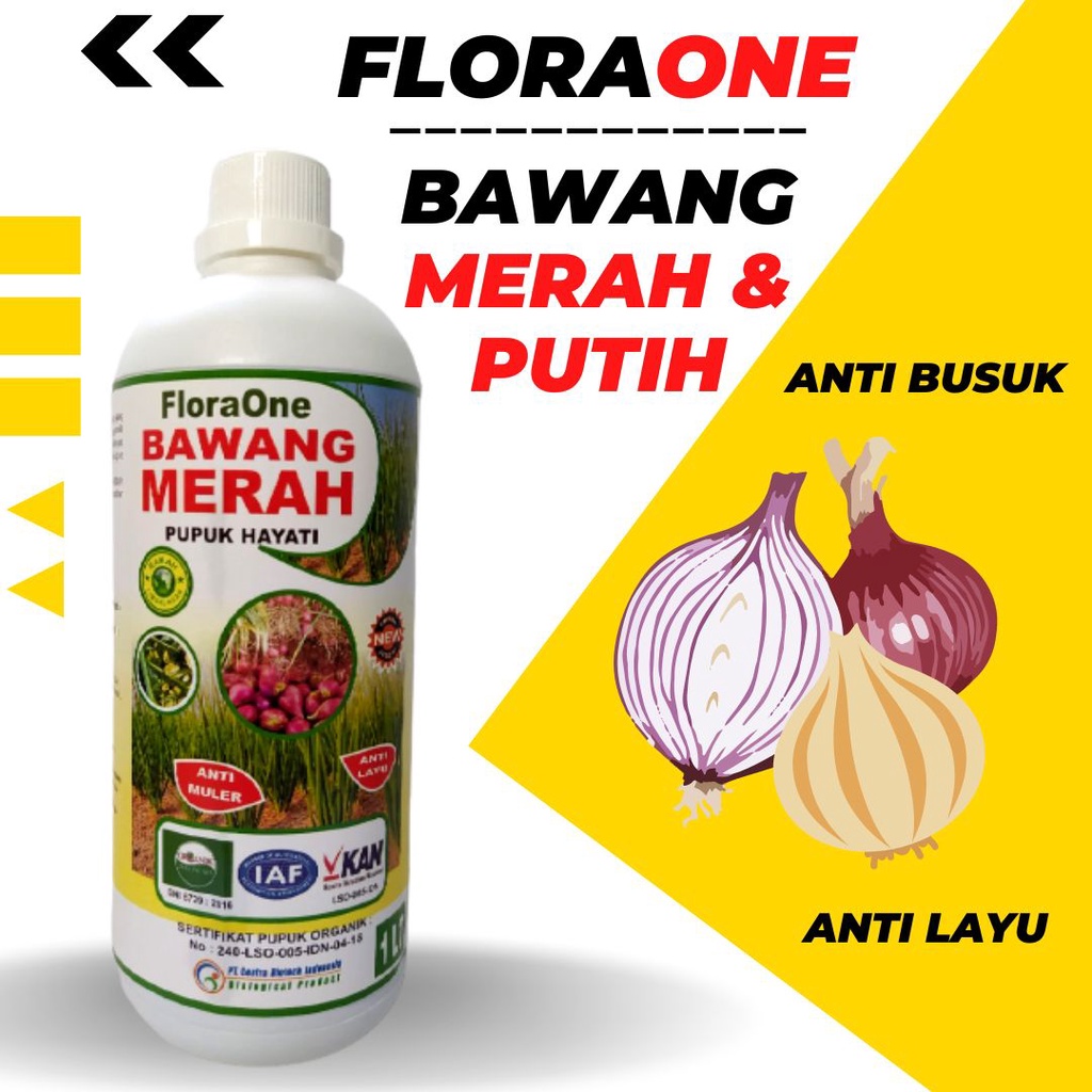 Pupuk Hayati Untuk Tanaman Bawang Merah, Fungisida Atasi Busuk Umbi Bawang Merah