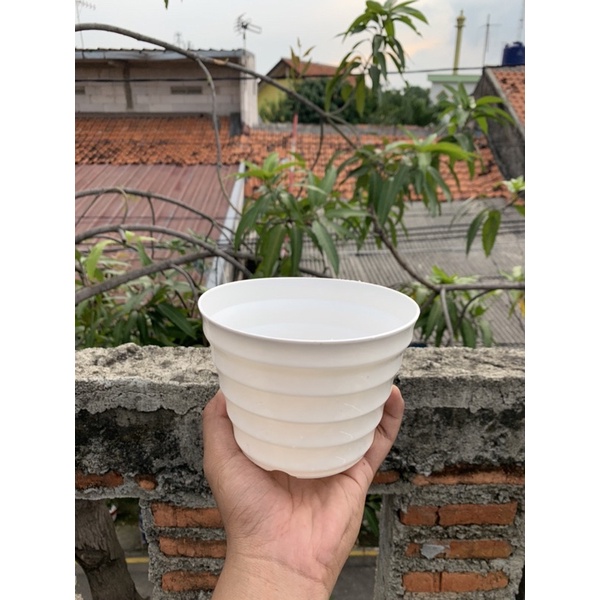 POT KING MADO 18 PUTIH WARNA WARNI Da 14,5 CM POT LUCU CANTIK MURAH