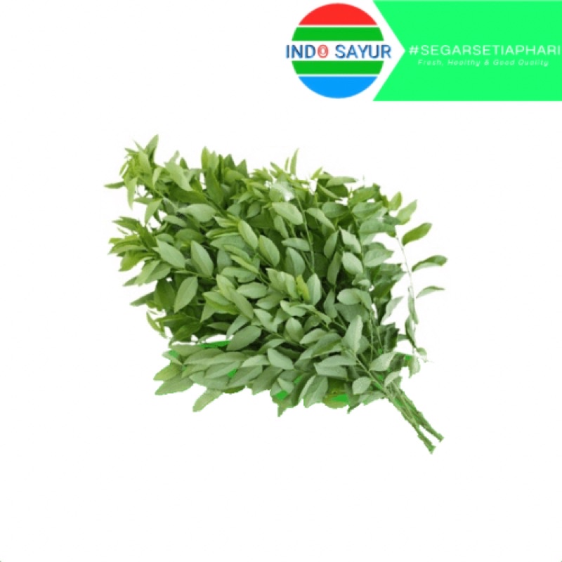

Daun Katuk Segar 1ikat