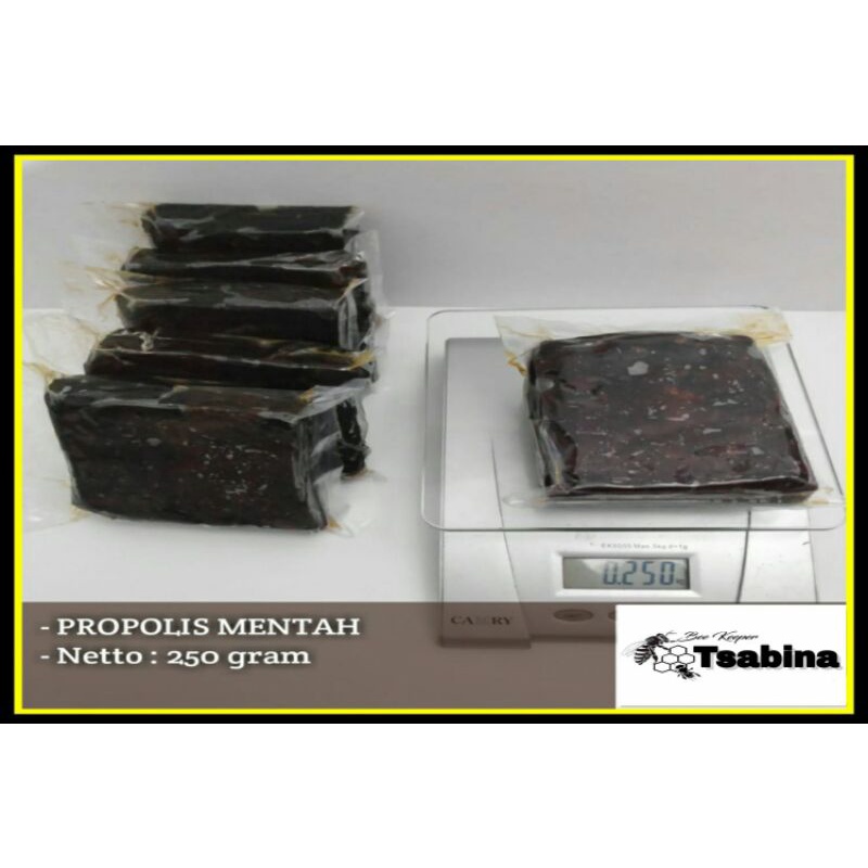 Propolis Mentah