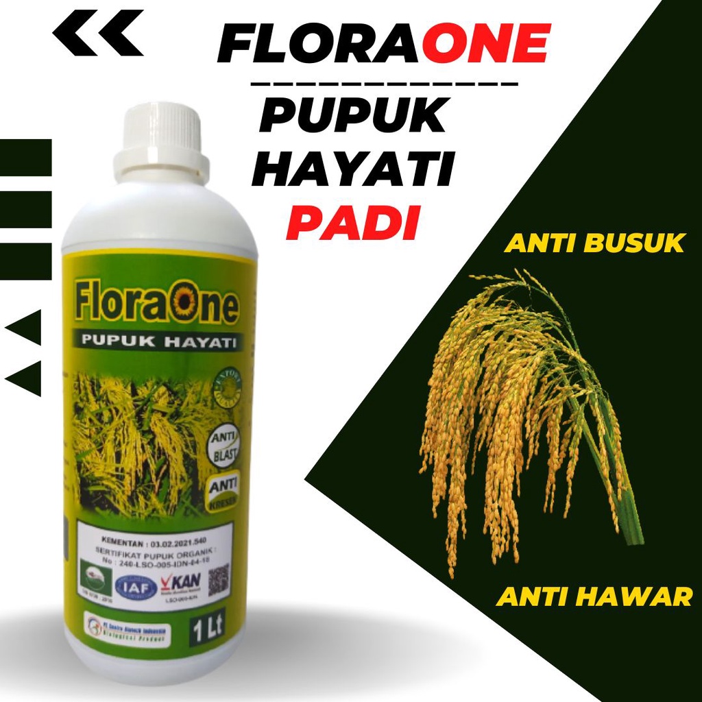 Pupuk Hayati Untuk Tanaman Padi, Fungisida Hayati Untuk Penyakit Blas Pada Padi