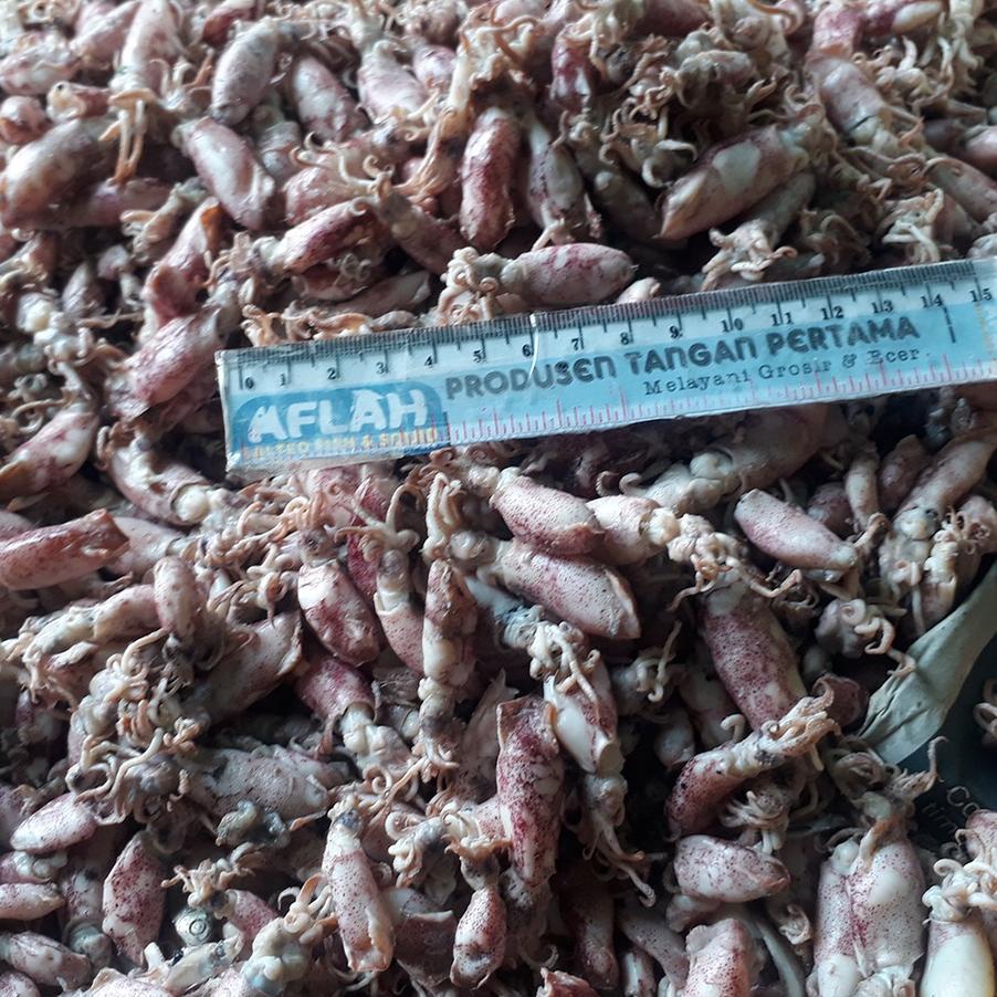 

Baby Cumi Rebus Asin - Ikan Asin 1Kg