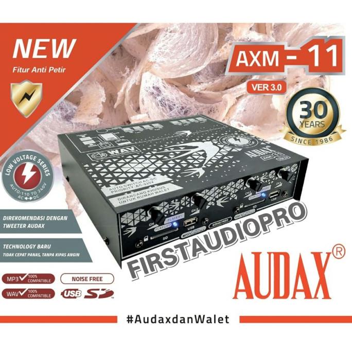 Ampli Walet Audax AXM11 / AXM 11 4CH Original