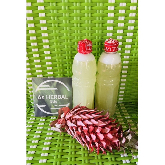 

Jus nanas muda / jus nanas merah 600 ml