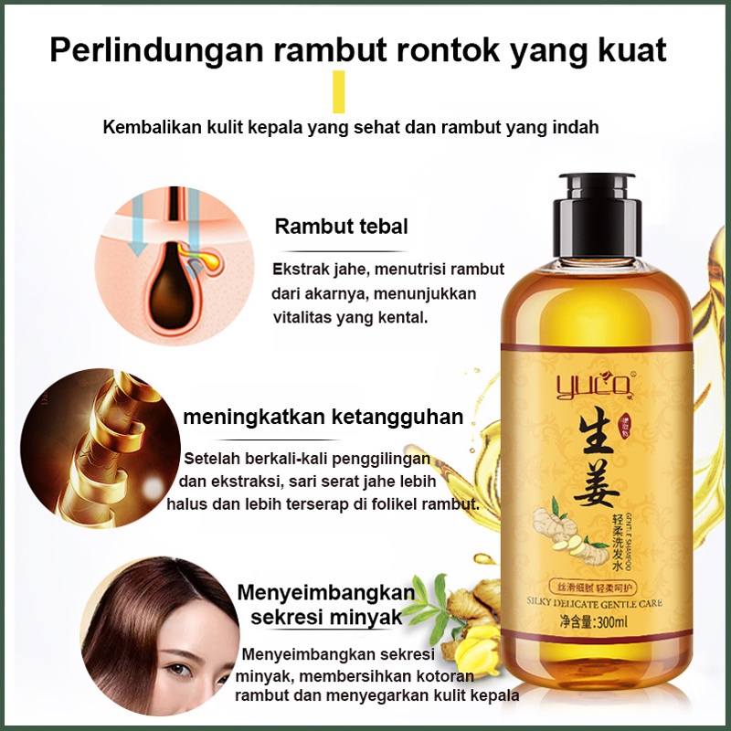 Sampo jahe Shampo penumbuh rambut Shampo anti rambut rontok 300ML Ketombe Merangsang pertumbuhan rambut Mencegah kebotakan Garis rambut Rambut rontok Bahan herbal jahe