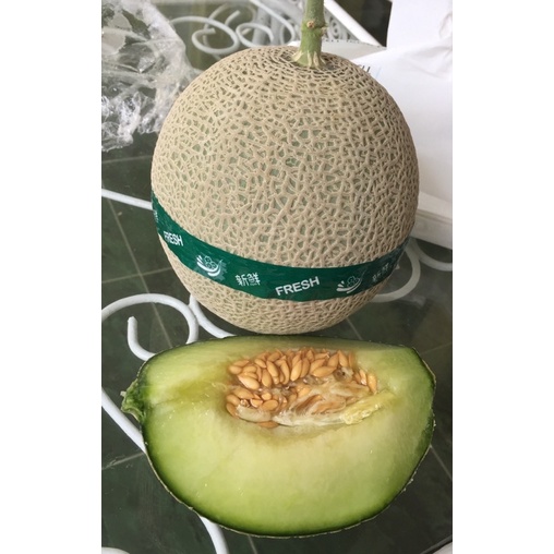 

Melon Sweet Taiwan Hidroponik