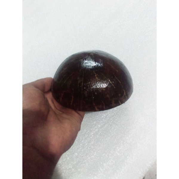 BATOK KELAPA I TEMPURUNG KELAPA I TEMPURUNG KELAPA BAHAN KERAJINAN I BATOK KELAPA BAHAN KERAJINAN