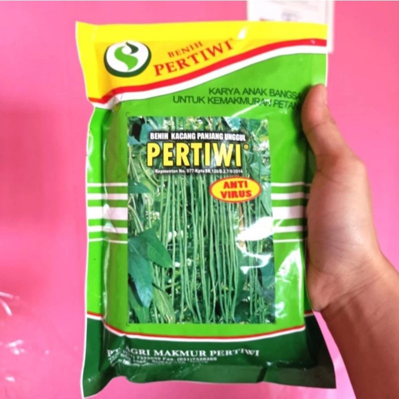 pertiwi 500gram benih bibit kacang panjang unggul anti virus