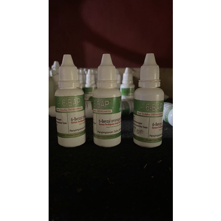 Pupuk 6BAP bap hormon penumbuh tunas dan tangkai bunga 30ml