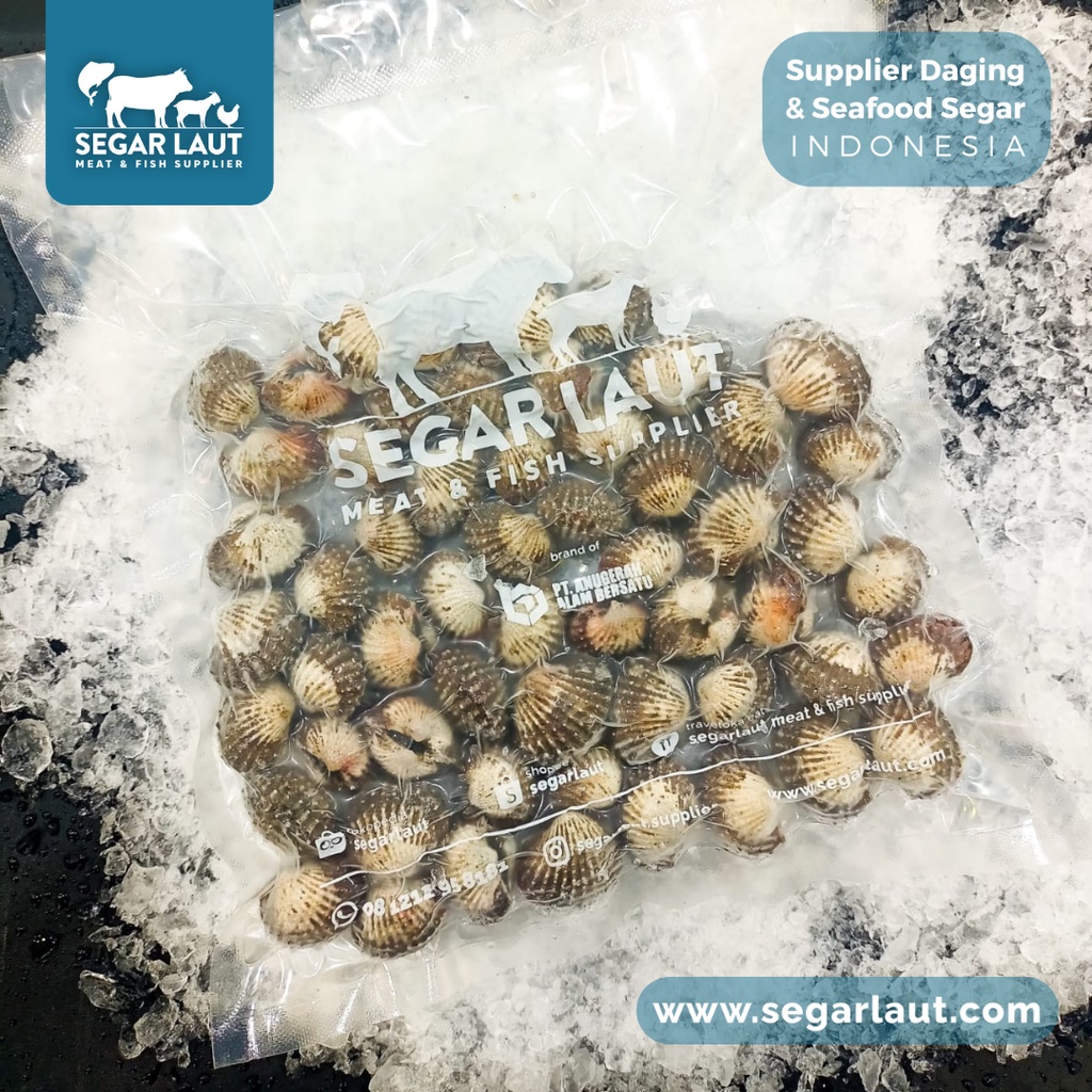 

Kerang Darah | Anadara Granosa | Fresh Frozen