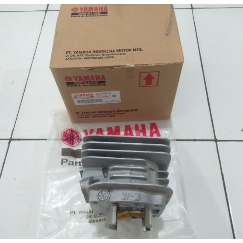 Buring cylinder blok YP-2 fiz r fizr force 1 3XA-E1311-10 Original YGP