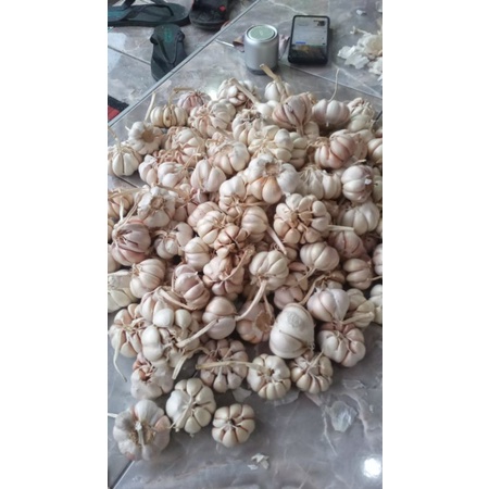 

Bawang putih bersih 500 gr