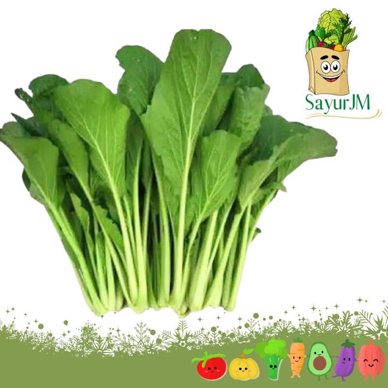 

SayurJM - Sawi Hijau 250gr / Caisim / Chaisim / Sayur Segar / Sayuran Segar