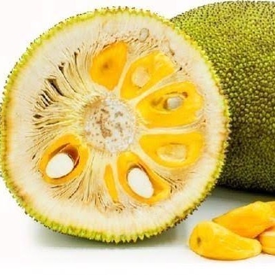 

Buah Segar Nangka Per Hiris