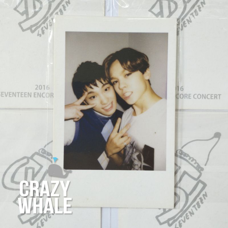 SEVENTEEN 2016 Encore Concert OTP dan Group Pola