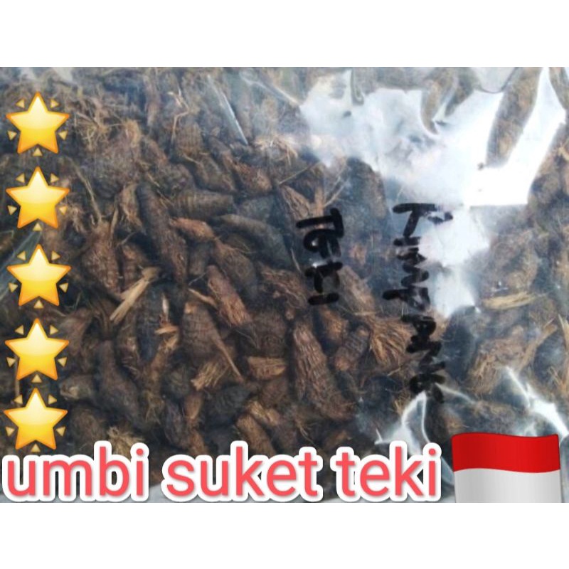 

umbi Rumput Teki Kering 1 Kg