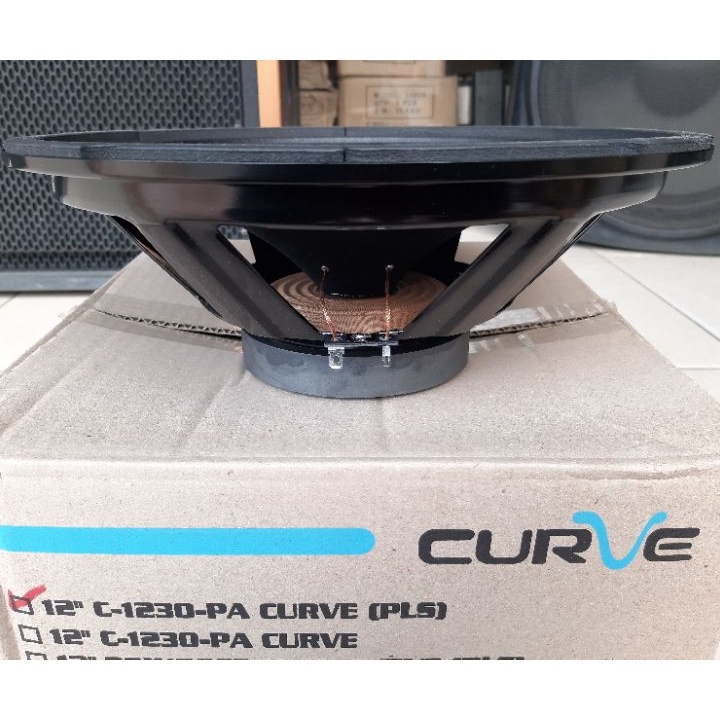 Speaker 12&quot; 12 inch CURVE C 1230 PA Full Range