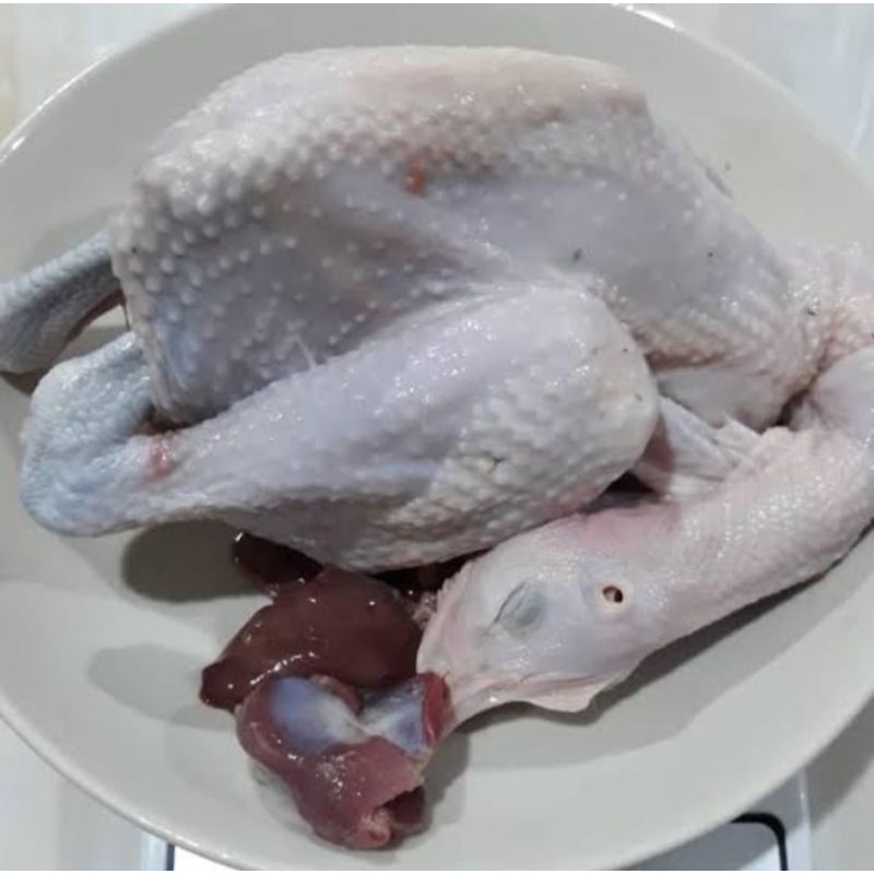 

AYAM KAMPUNG, Ayam kampunģ, AYAM KAMPUNG BERSIH SEGAR HALAL 1.5KG