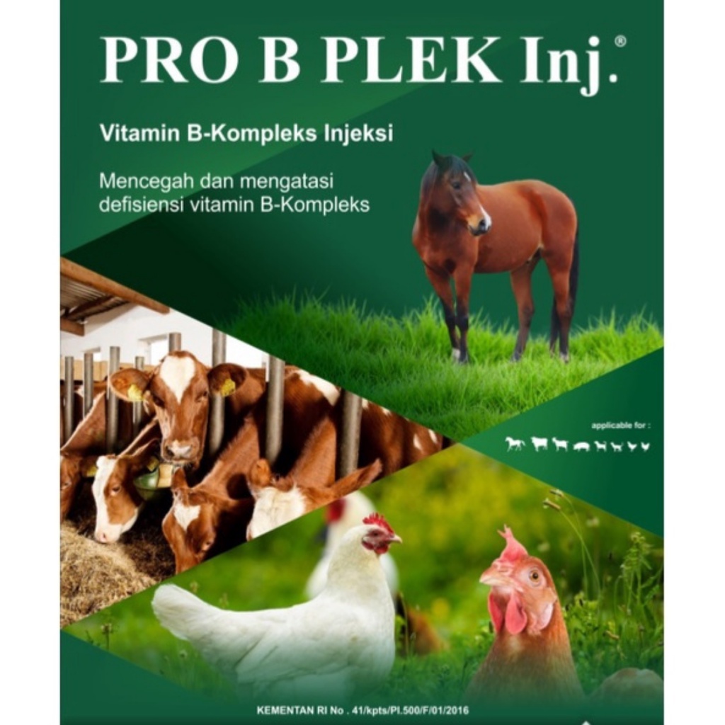 PRO B PLEK Inj 100 mL | Mencegah dan Mengatasi Defisiensi Vitamin B-Kompleks Pada Sapi Kambing Domba Kuda Anjing Kucing Ayam| VADCO | Apoternak