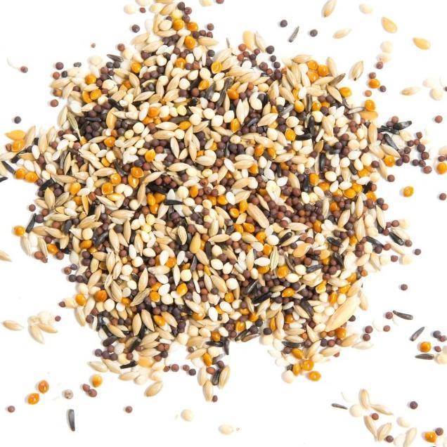 Pakan Kenari Smart Choice Royal Canary Belgian Formula