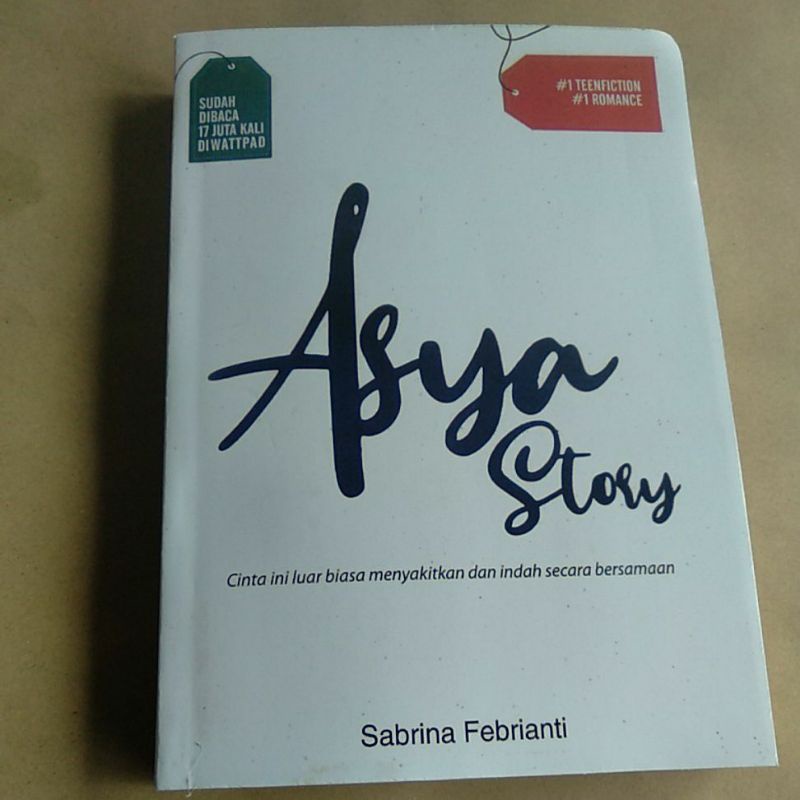 

Novel Asya Story