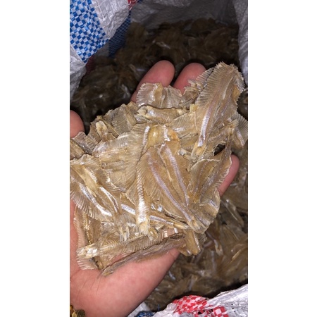 

ikan kertas 100 gram