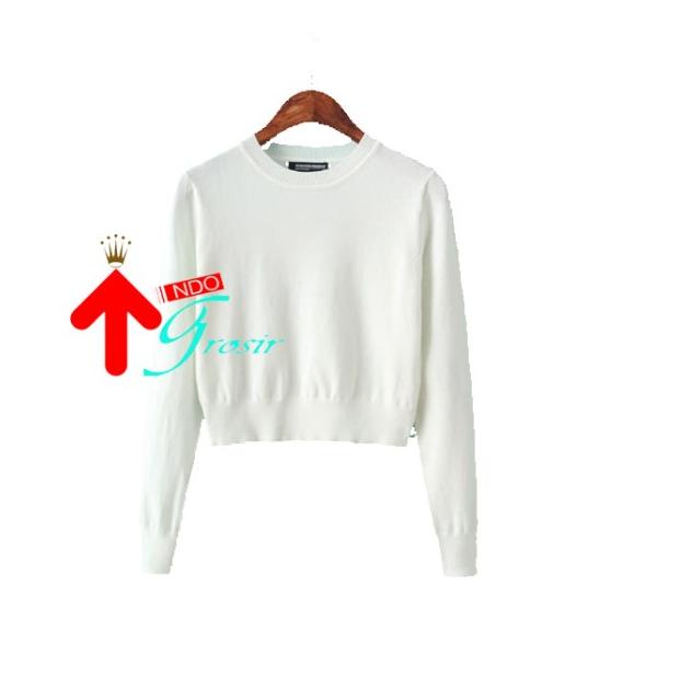 JAKET SWEATER HOODIE CROP POLOS SETENGAH BADAN POLOS