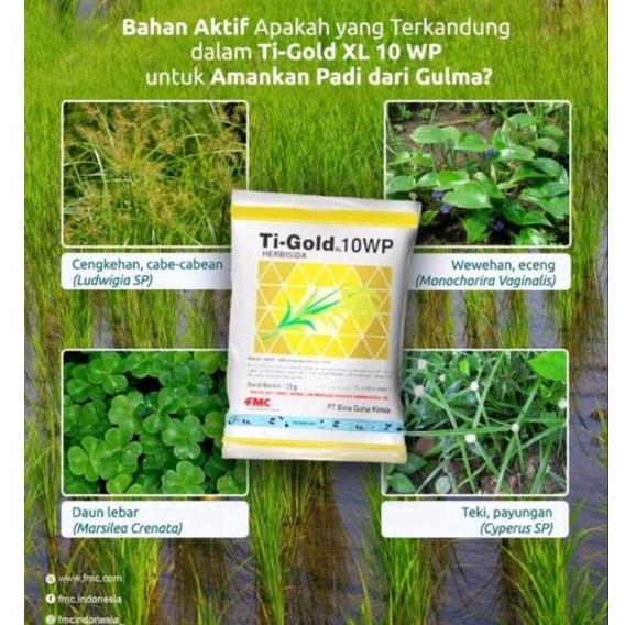 Tigoal Ti-goal 10wp 25gr ex mei 24