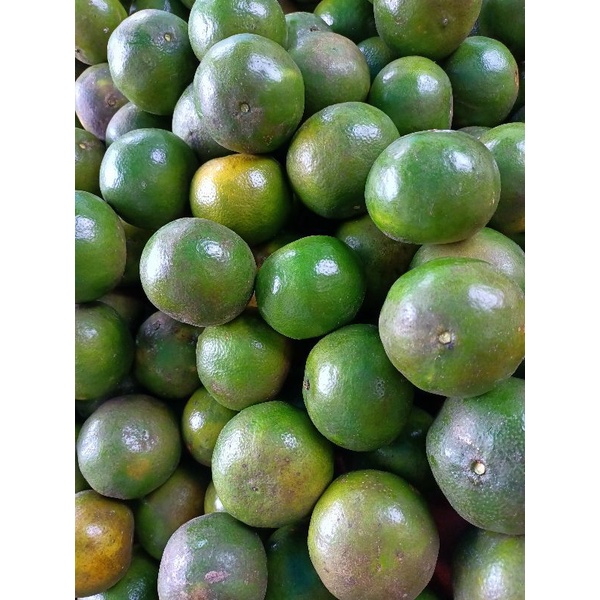 

jeruk madu sia manis 1kg