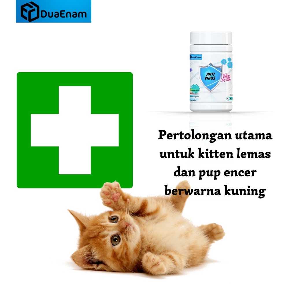 DUAENAM ANTI VIRUS FIP kucing