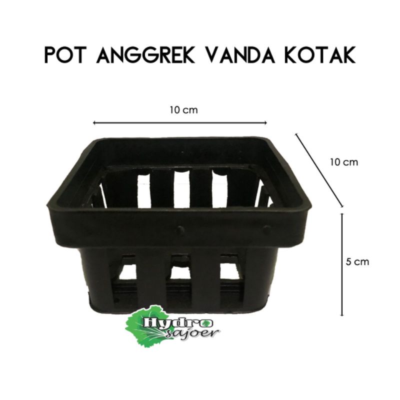 Pot Anggrek Vanda Ukuran 10 cm - Pot Kotak - Pot Anggrek