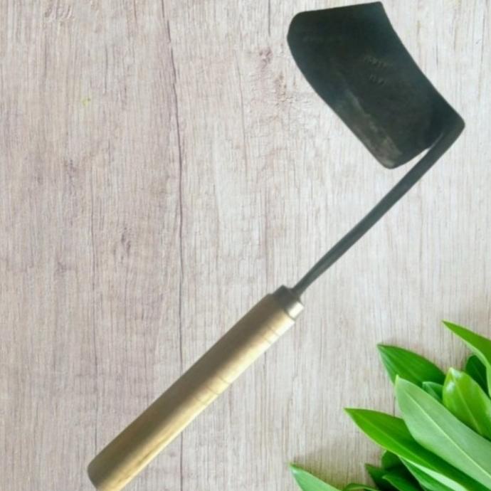 Tengkuit Rumput Kecil Parang Katai Rumput