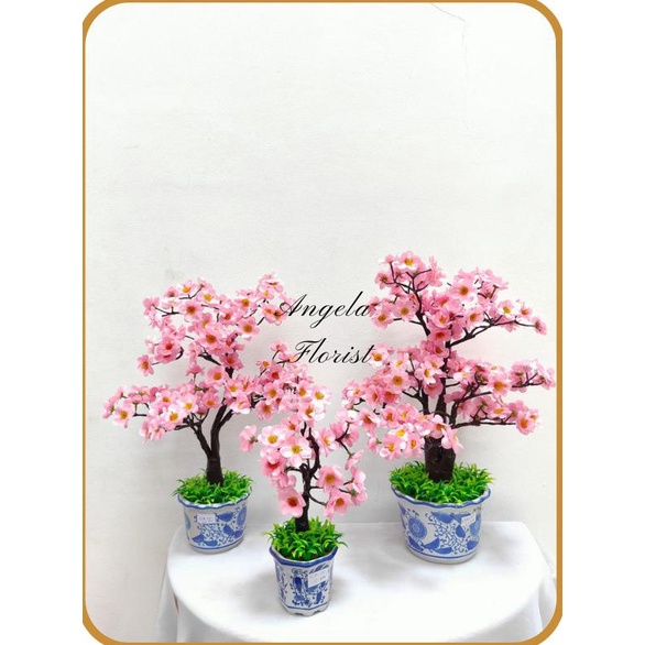 Pohon Bonsai Sakura Imlek | Pot Bonsai Hiasan Imlek | Bonsai Sakura