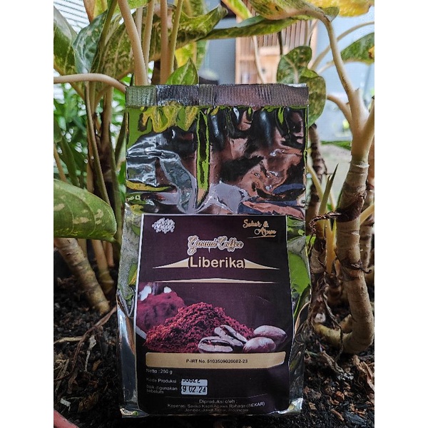 

Kopi Liberika Asli Jember