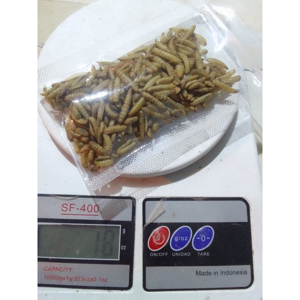Magot kering kemasan 15gram/Maggot kering/Magot/Maggot kering