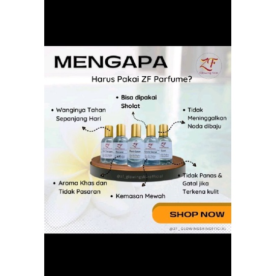 PARFUME ZF PREMIUM