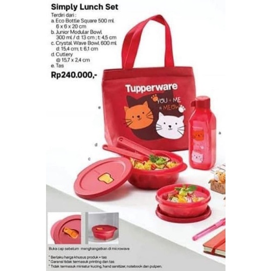 simply lunch set by tupperware