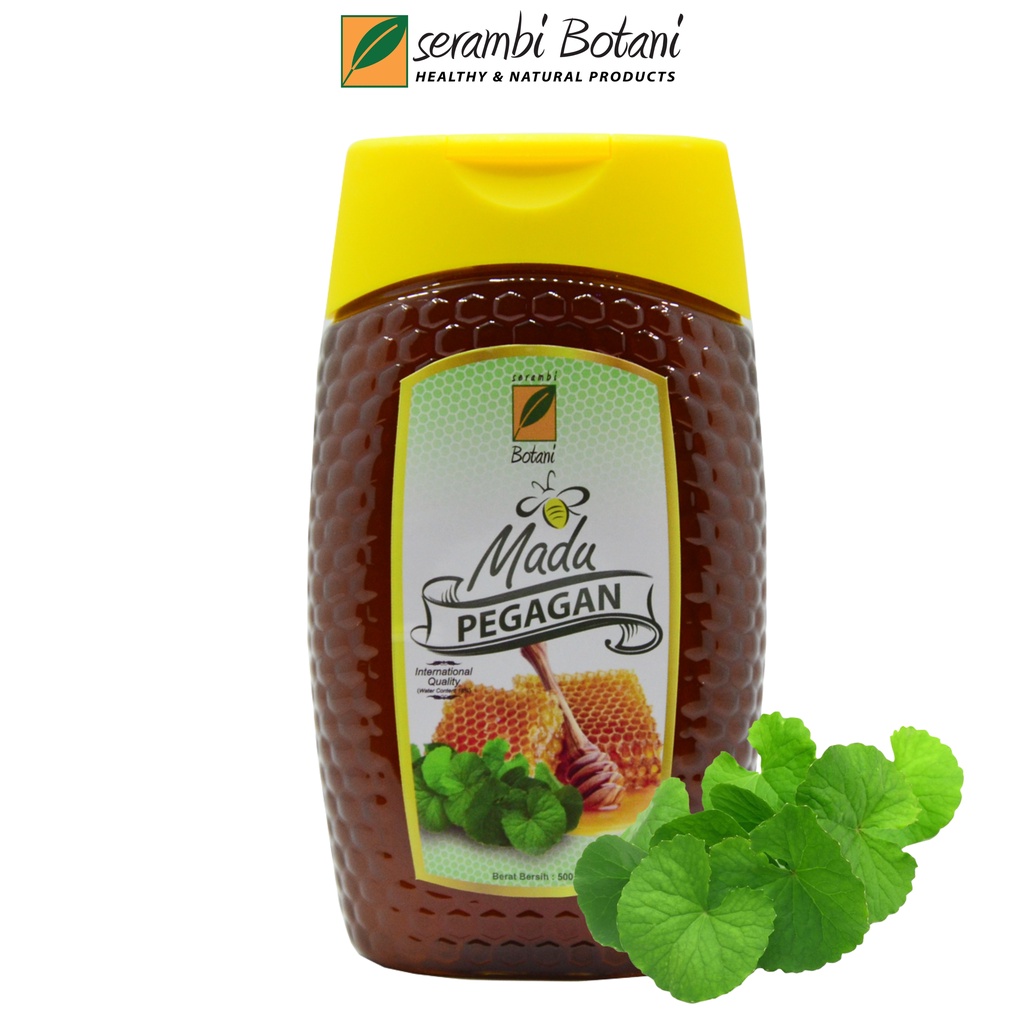 

Madu Murni Nutrisi Otak Pegagan Serambi Botani500g Standar Internasional