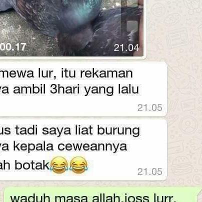 pil edan isi120 butir original merpati - Putih