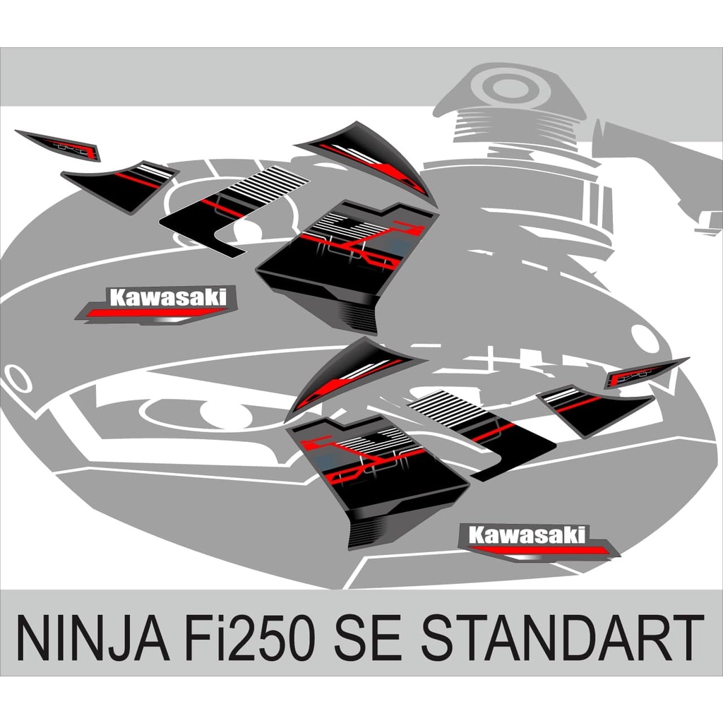 STRIPING NINJA FI250 SE STANDART