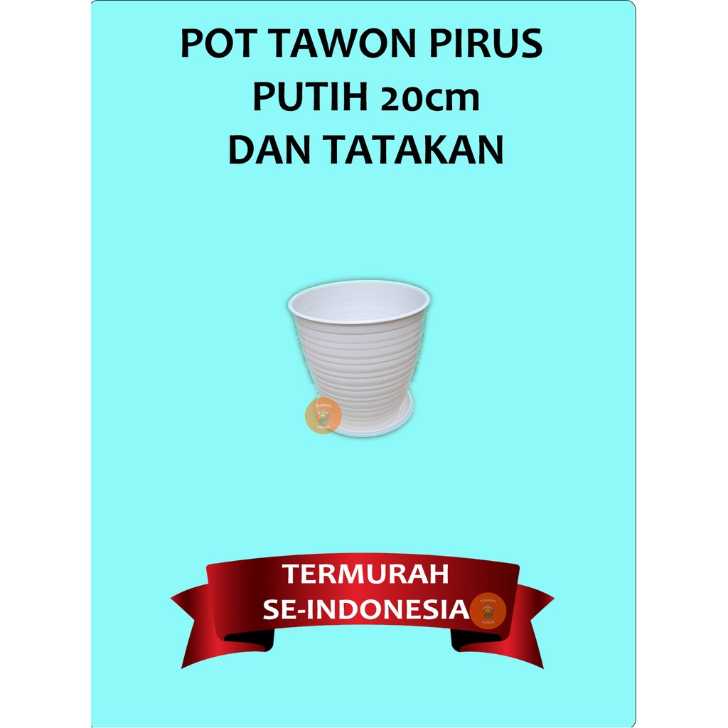 1 Set Pot Bunga Madu Tinggi Tawon Pirus Tirus 20cm Putih dan Tatakan