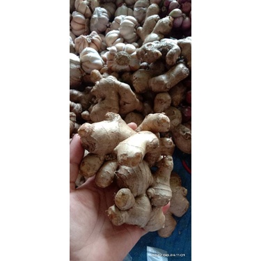 

bumbu dapur