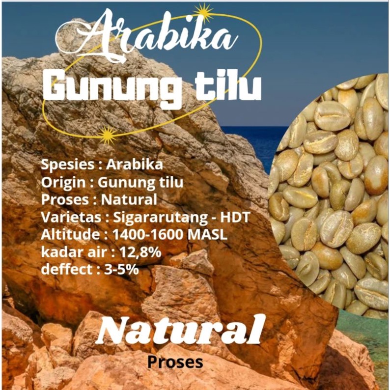 

Green Bean / biji kopi Arabika Gunung Tilu - Natural 1 kg