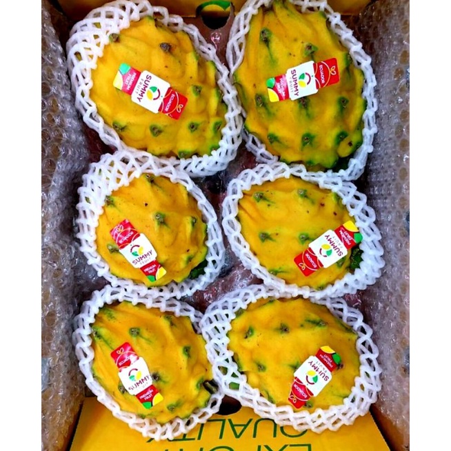 

Buah Naga Kuning Import / Yellow Dragon Fruit ecuador Per 1 Dus