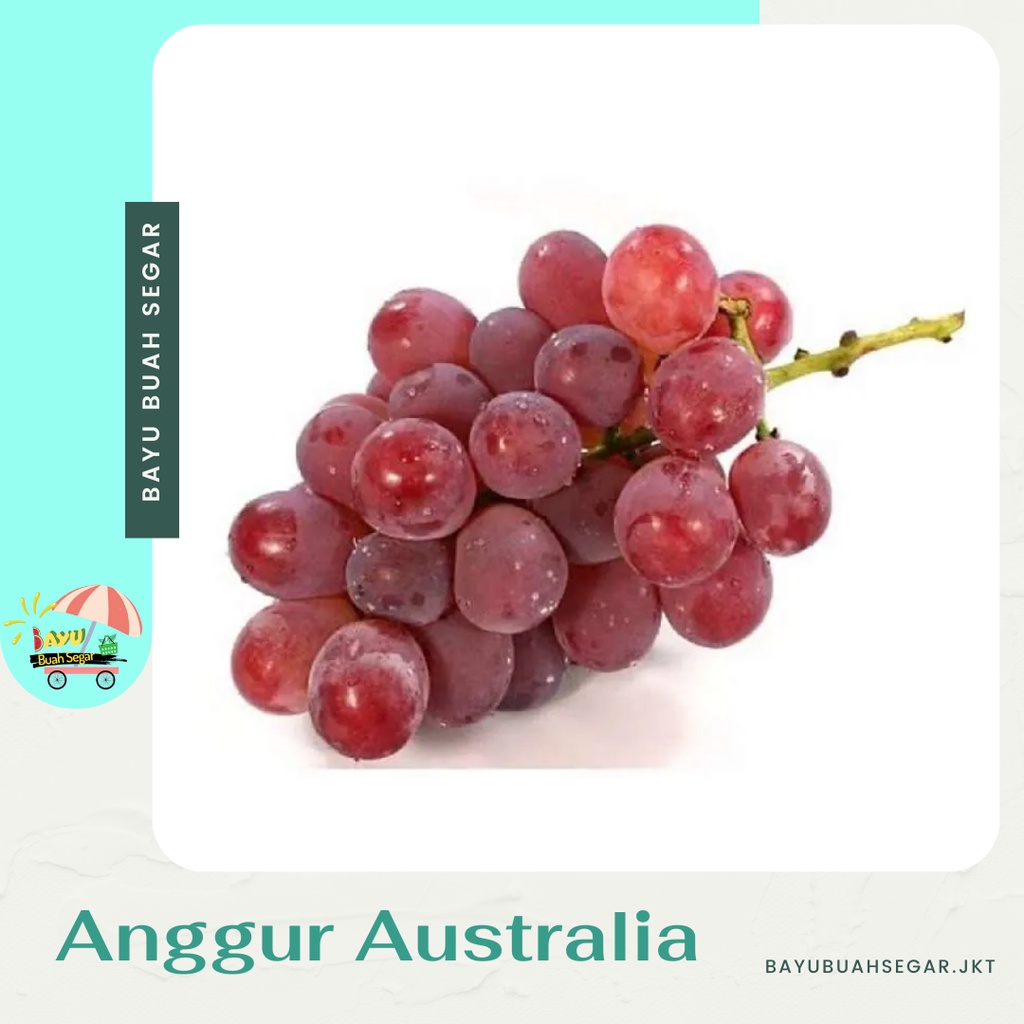 

Buah Anggur Australia Segar